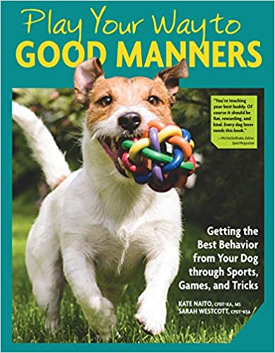 Play Your Way to Good Manners